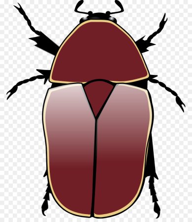 Жук Bug Картун