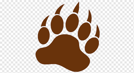 Отпечаток медвежьей лапы