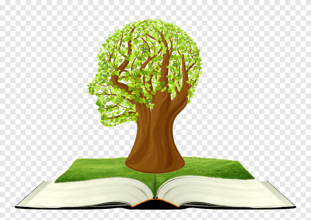 Книжное дерево