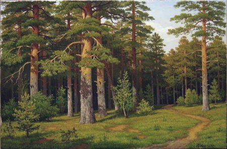 Владимир Бебия Сосновый Бор