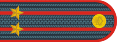 Погоны полковника МВД рисунок