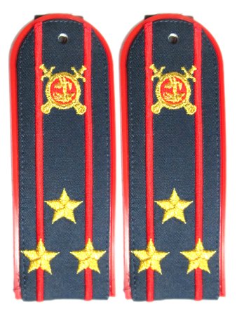 Погоны МВД полковник полиции