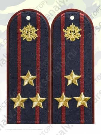 Погоны ФСИН полковник