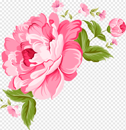 Пиони Пинк Peony Pink роза