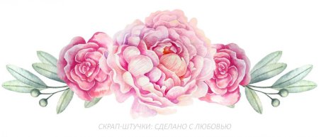 Пудровые пионы акварель