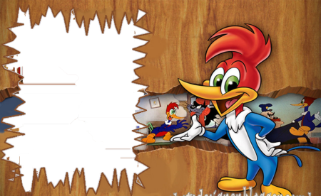 Looney Tunes Вуди