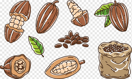 Какао иллюстрация