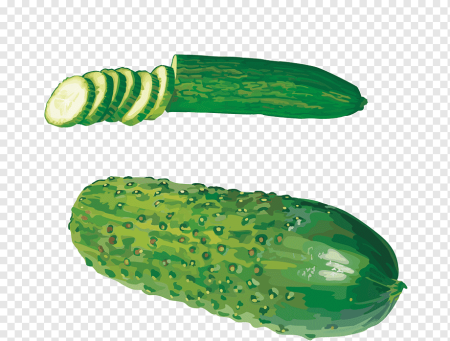 Нарисовать огурец