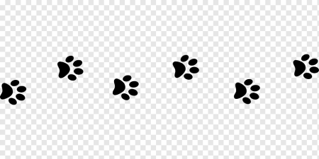 Отпечаток лапы кота