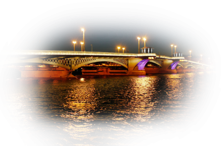 Дворцовый мост СПБ вектор