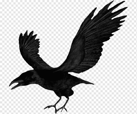 Ворон для фотошопа