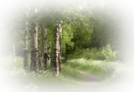 Пейзаж на прозрачном фоне