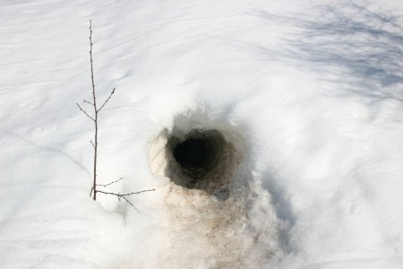 Лисья Нора зимой