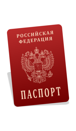 Паспорт значок