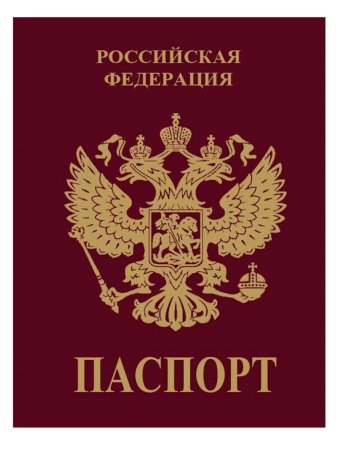 Паспорт РФ обложка