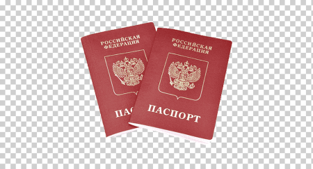 Паспорт вектор