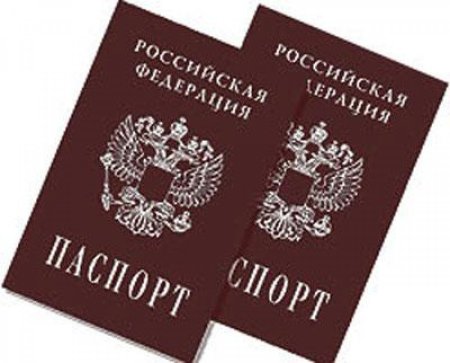 Российский паспорт на прозрачном фоне