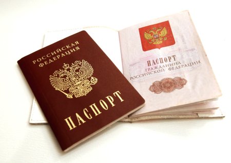 Чехол для паспорта