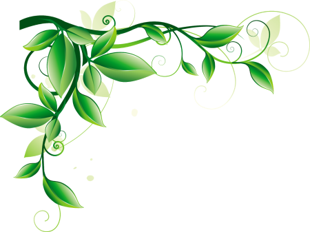 Красивые веточки для оформления