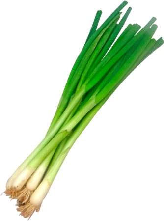 Лук порей и лук батун