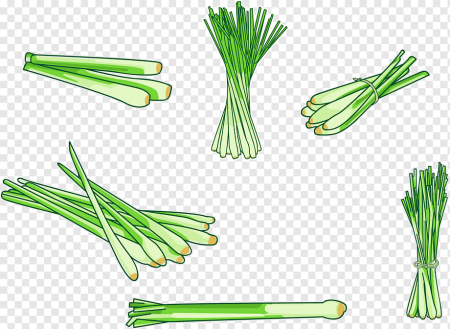 Зеленый лук и Лемонграсс