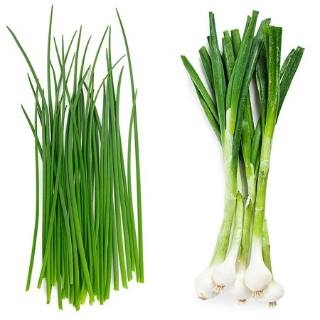 Лук Chives
