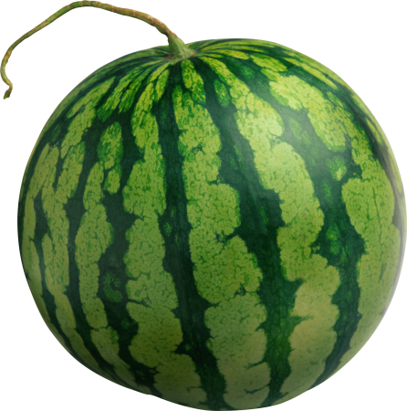 Citrullus lanatus