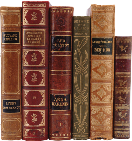 Красивые корешки книг