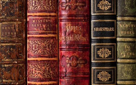 Корешки старинных книг