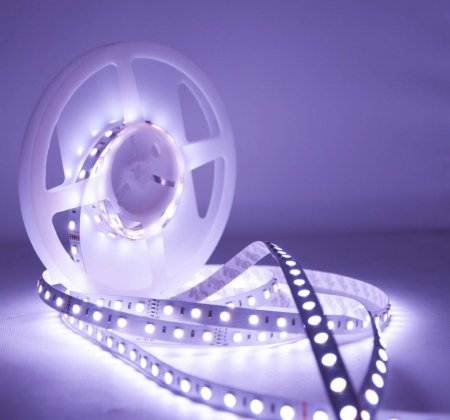 Led 5050 ip33 White
