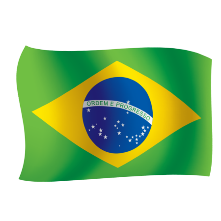Флаг бразилии клипарт (50 фото)