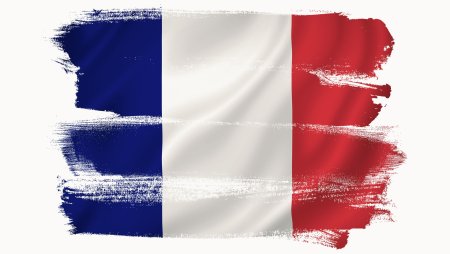 Флаг франции клипарт (50 фото)