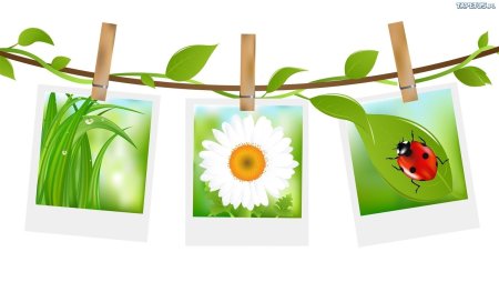 Клипарт лето на прозрачном фоне