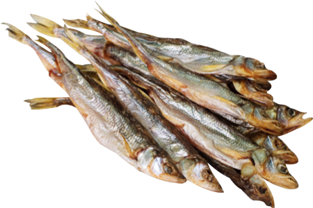 Снеток рыба сушеная