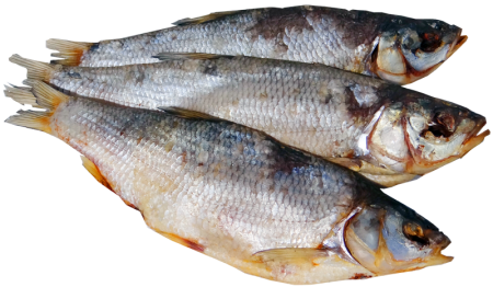 Вобла копченая