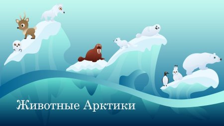 Животные Арктики для детей