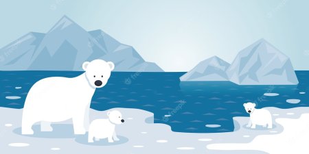 Путешествие на Северный полюс для детей