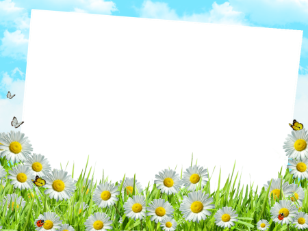 Рамка ромашки