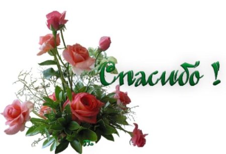 Спасибо цветы