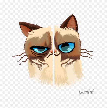 Арты котики сердитые