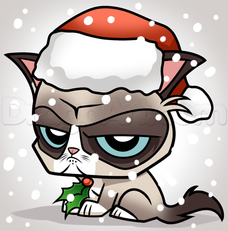Недовольный новогодний кот