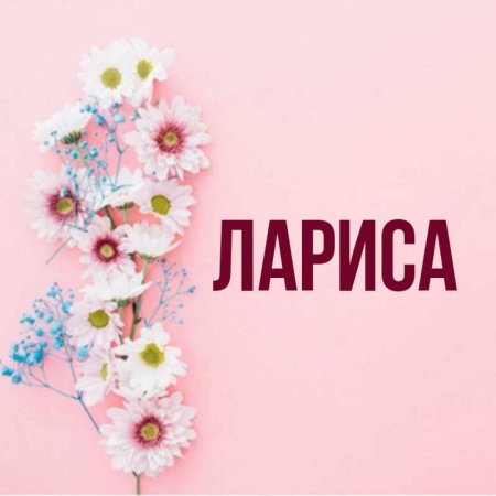 Имя Лариса