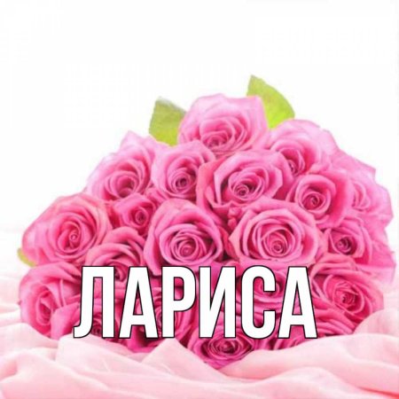 Лариса имя красивое