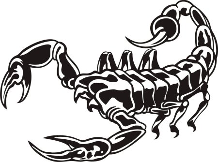 Клипарт черный скорпион (48 фото)