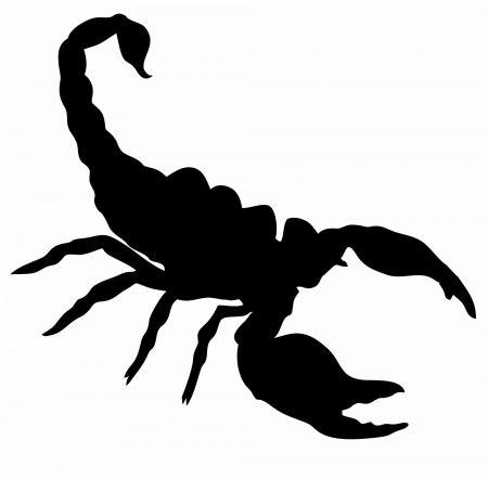 Скорпион силуэт