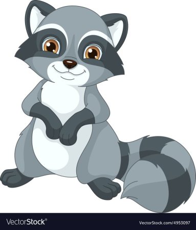 Клипарт енот на прозрачном фоне для детей