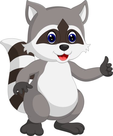 Raccoon для детей на белом