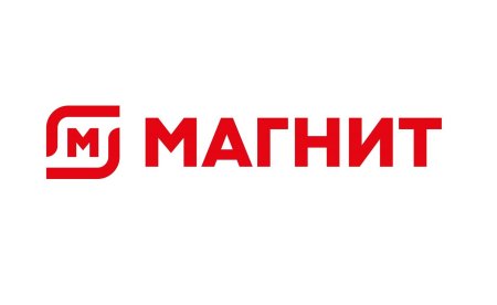 Сеть магнит логотип