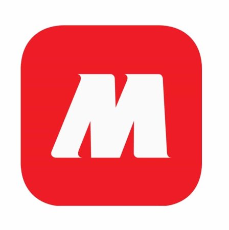 Магнит логотип