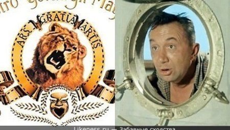 Шулейкин полосатый рейс
